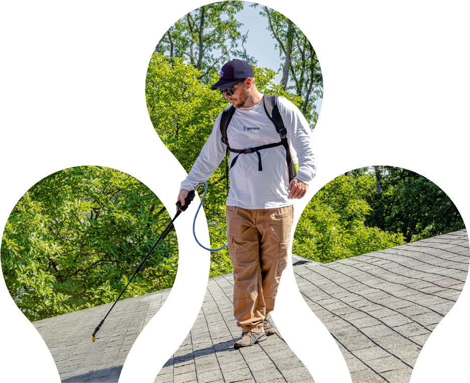 Professional roof treatment application showing GoNano nano-sealer being applied to Canadian roofing conditions